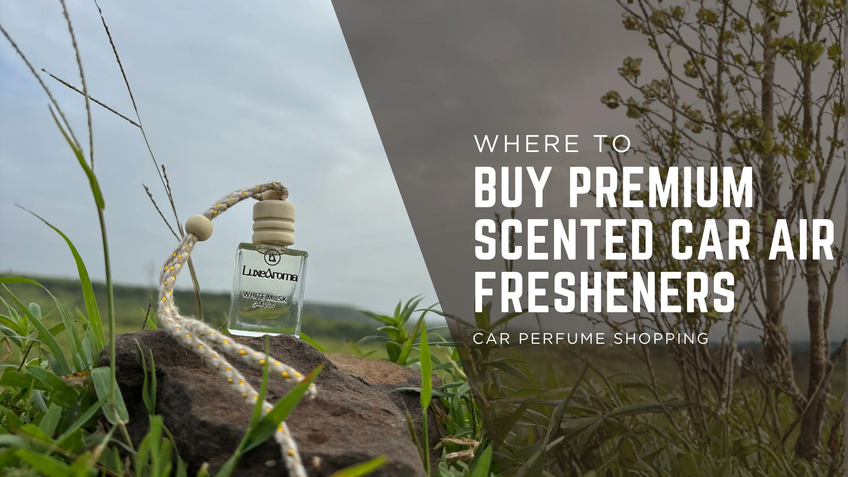 Where Can I Buy Premium Scented Car Air Fresheners Online?