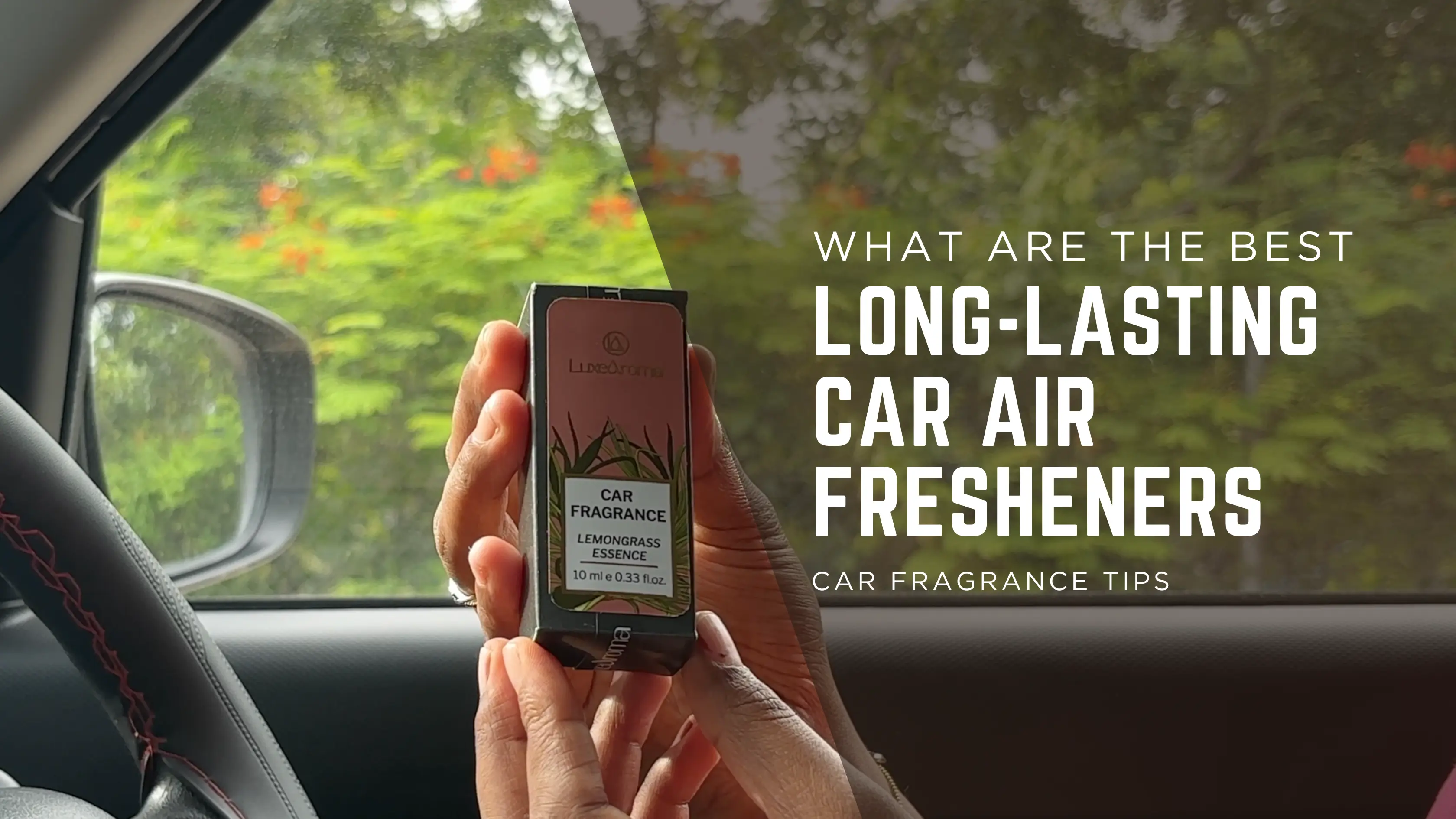 What Are the Best Long-Lasting Car Air Fresheners?
